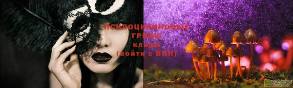 стафф Абаза