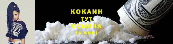стафф Михайлов