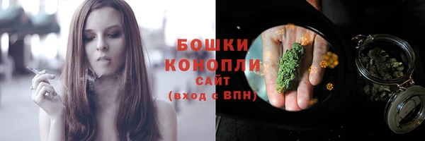 стафф Михайлов