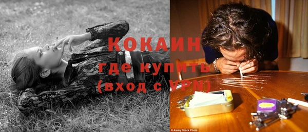 стафф Михайлов