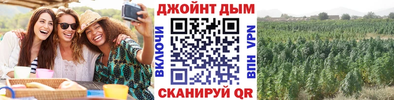 Бошки марихуана MAZAR ОМГ ОМГ ССЫЛКА Кисловодск